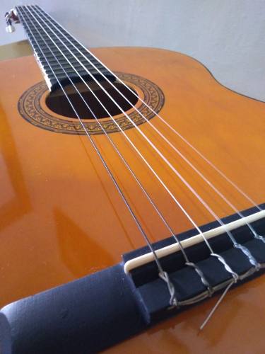 Guitarra D. Catala Modelo G-01