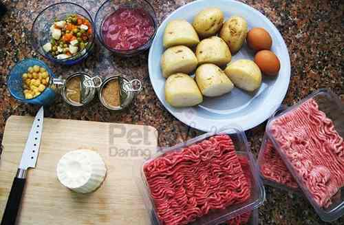 Comida Procesada Y Balanceada Para Perros Y Gatos