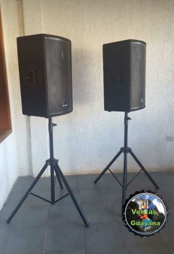 Corneta Pasivas 600 Watts De 15pulgada