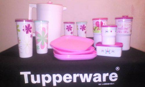 Tupperware Set De Productos