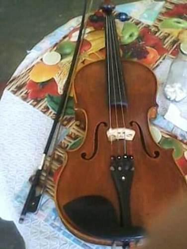 Viola Semi Profesional