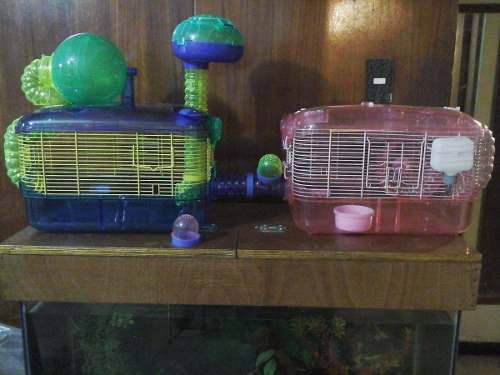 Hermosas Y Prácticas Jaulas Para Hamsters. Y Roedores