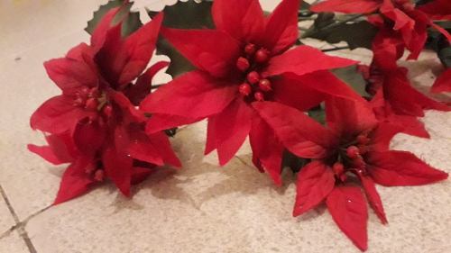 Flores Navideñas Rojas - Navidad