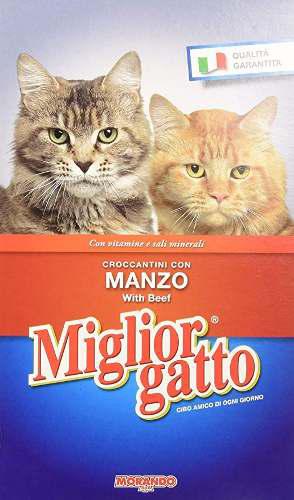 Gatarina Italiana De 2 Kilos Miglior Gato De Carne