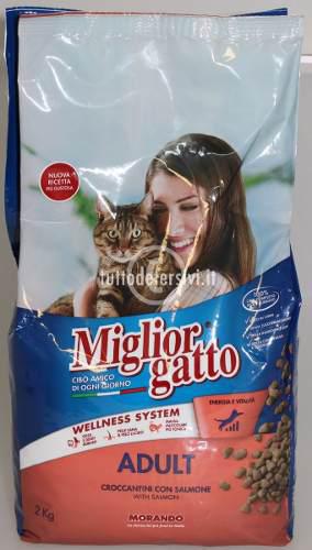 Gatarina Italiana De 2 Kilos Miglior Gato De Salmon