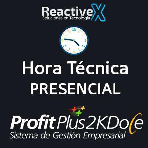 Profit Plus 2k8 2k12 Hora Soporte Presencial Asesoria