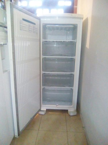 Freezer Vertical