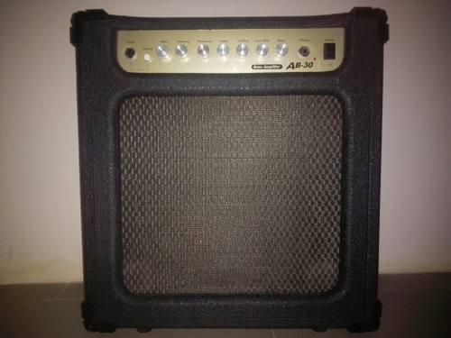 Amplificador 10 Pulg. Para Bajo O Guitarra