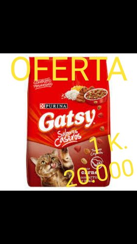 Gatarina Gatsy