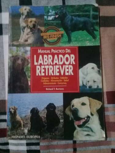 Manuel Páctico Para El Labrador Retriever