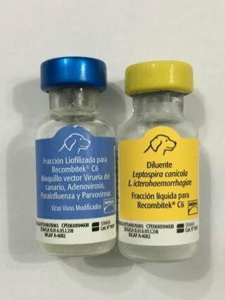 Vacuna Sextuple Para Caninos