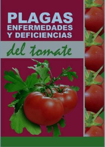 Guia De Plagas En El Cultivo De Tomates