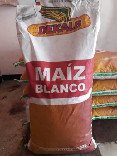 Semilla De Maiz Blanco
