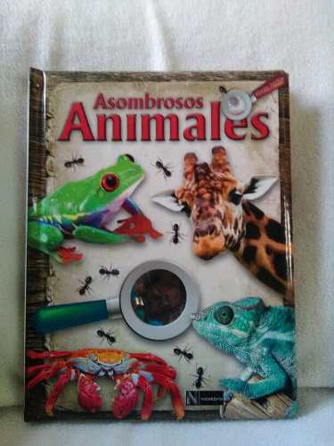 Libro De Insectos En Paginas Lavables Con Una Lupa