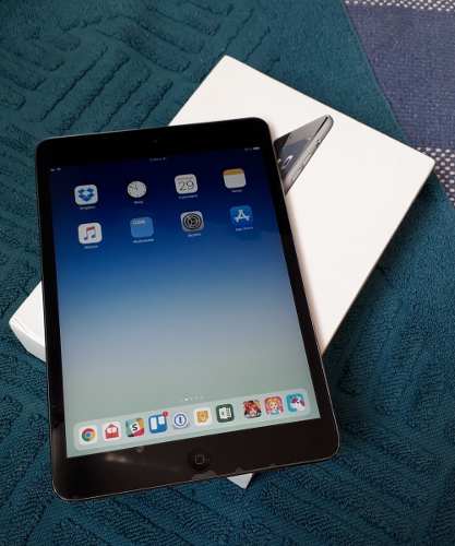 iPad Mini 2 Wifi 16 Gb - Buen Estado