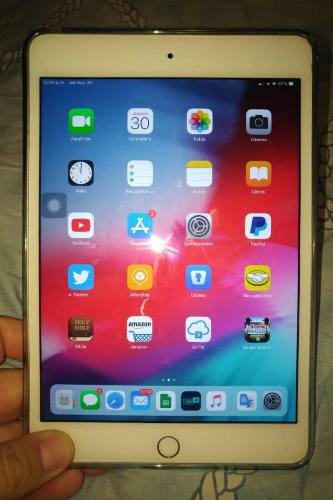 iPad Mini 4 16gb Wifi + 4g Sin Detalles Poco Uso 250 Vrd