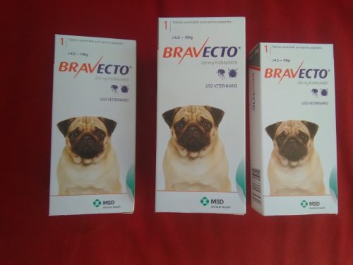 Bravecto Anti Pulgas