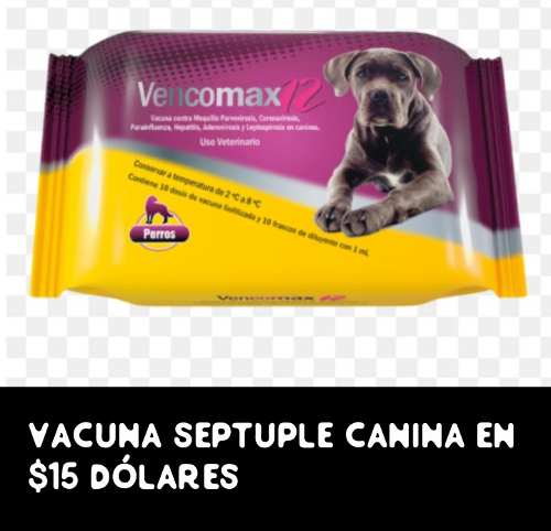 Vacuna Septuple Canina