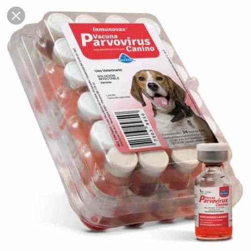 Vacunas Parvovirus Canino