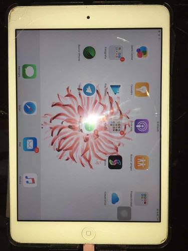 iPad Mini 1 De 16gb