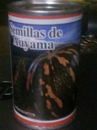 Semillas De Auyama Cubana Carnosa Certificadas Lata 50 Gr