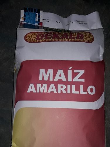 Semillas De Maiz Dekalb Amarillo Hibrido Dk-357