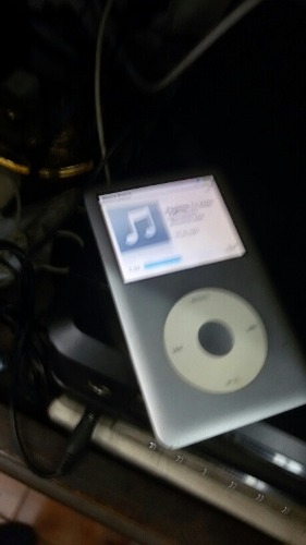 iPod 80 Gb En Perfecto Estado