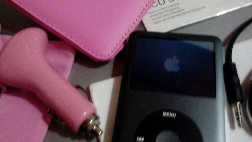 iPod Classic 120gb. Para Repuesto O Reparar.