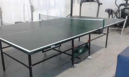 Mesa De Ping Pong Marca Dixson
