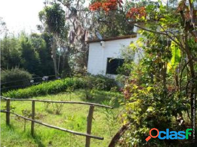 Vendo Finca Cafetalera en Trujullo MLS 19-2935 ZBN