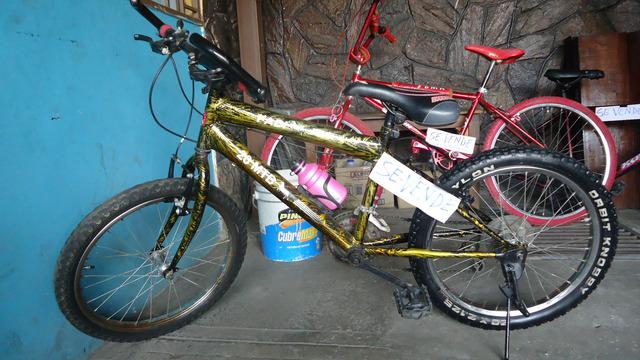 Vendo bicicleta montañera rin 20"