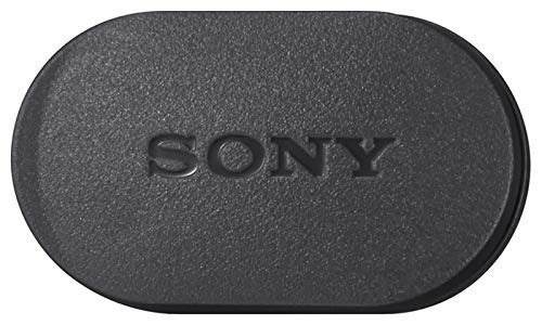 Audio Video Para Sony Mdras210ap Deporte Proteccion Amz
