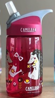 Termo Escolar Camelbak