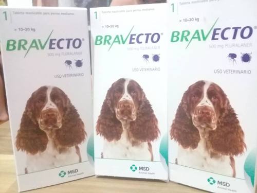 Bravecto, Anti Pulgas Y Garrapatas