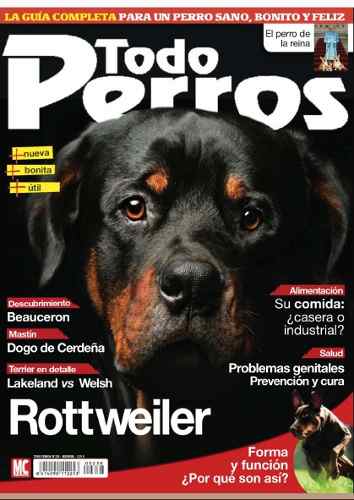 D - Todo Perros - Rottweiler