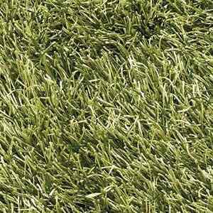 Alfombras Marca Soho 50x80cm