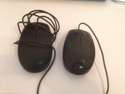 Mouse Dell, Raton Dell