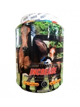 Mineral Para Caballo Coleo Team Penning 2kg