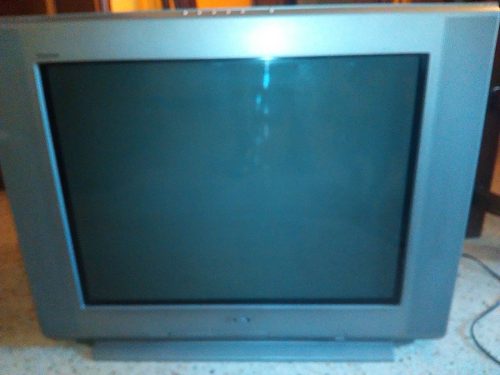 Televisor Sony Triniton 29 Mod Kv29fv17 Con Control 50trmp