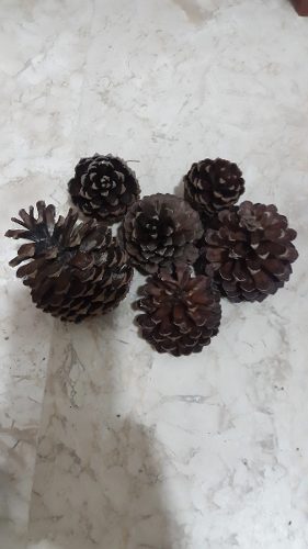 Piñitas De Pino Naturales