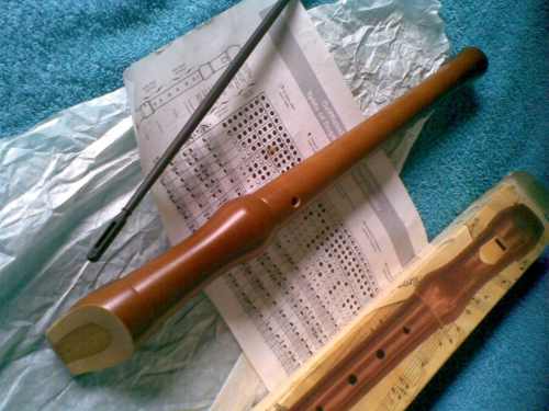 Flauta Hohner 20 Verde