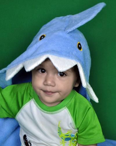 Toallas De Animalitos Con Capucha Para Bebes. Baby Shark
