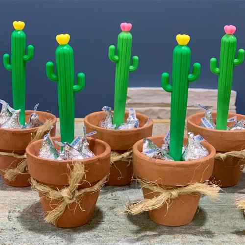 Recuerdo Fiesta Temática, Regalo, Bolígrafo Cactus