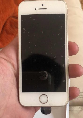 iPhone 5s Dorado 16 Gb Detalle