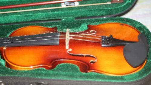 Violin 4/4 Maxtone Con Forro Y Arco