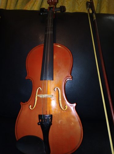 Vendo Violin Medida Un 1/2
