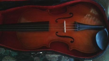 Violin 1/4 Para Niños