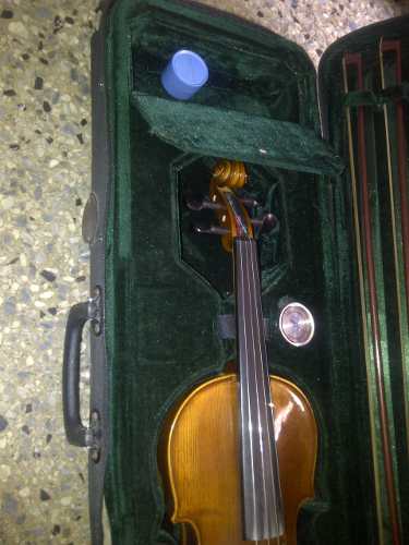 Violin