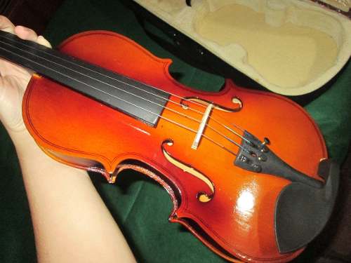 Violin 3/4 Nuevo