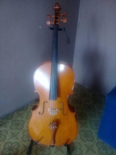 Violincello 4/4 Bethoven